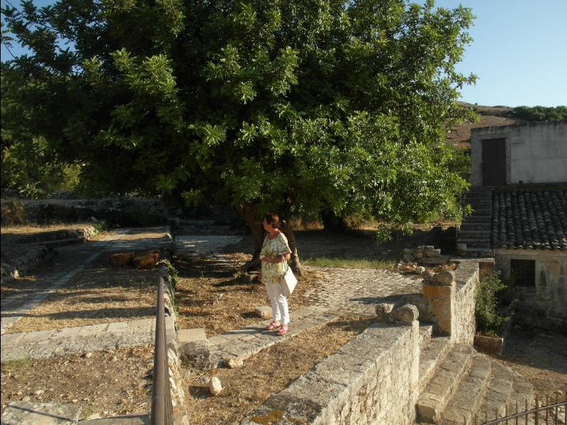 Fattoria Iblea - Ragusa