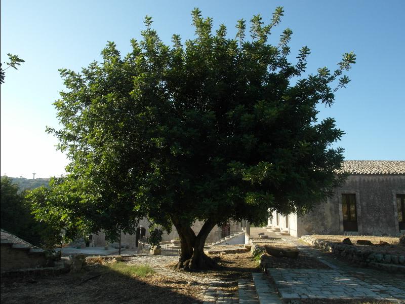 Fattoria Iblea - Ragusa
