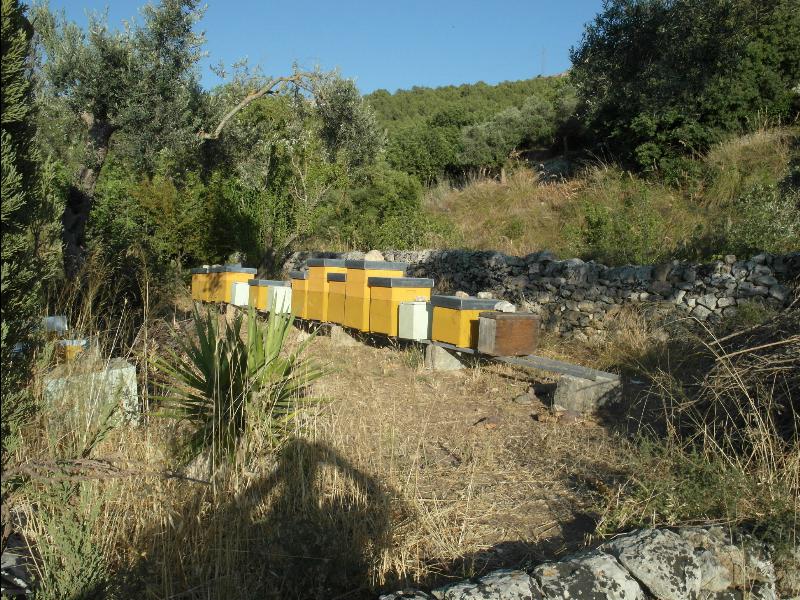 Fattoria Iblea - Ragusa