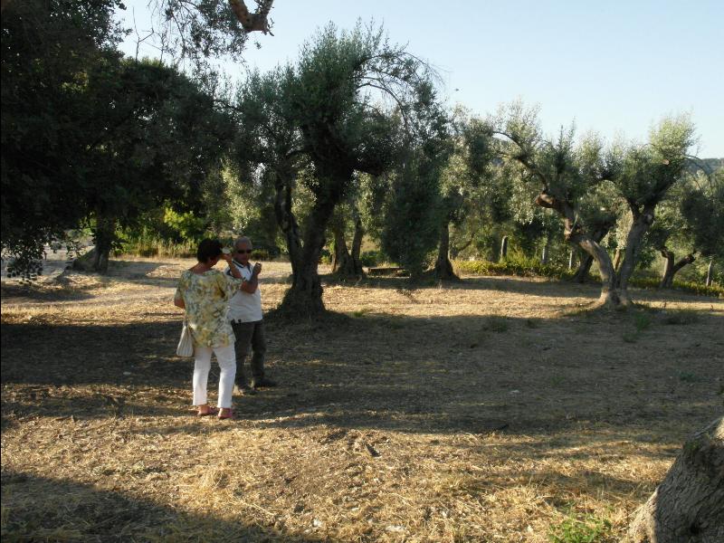 Fattoria Iblea - Ragusa
