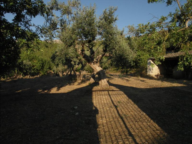 Fattoria Iblea - Ragusa