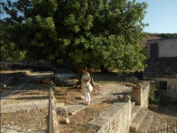 Fattoria Iblea - Ragusa