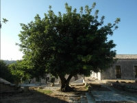 Fattoria Iblea - Ragusa