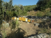 Fattoria Iblea - Ragusa